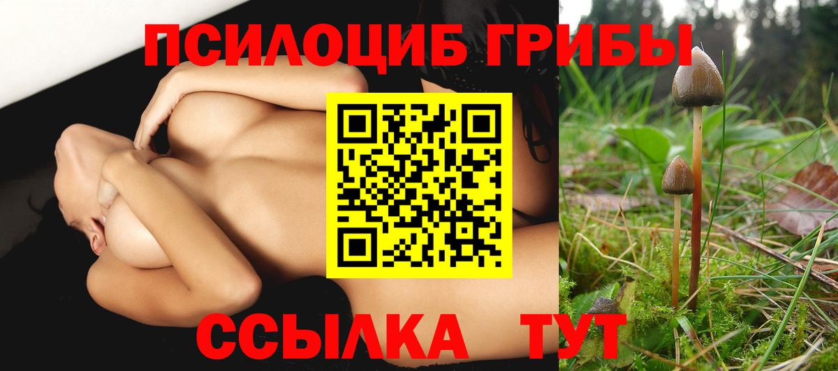 Псилоцибиновые грибы мицелий Белово